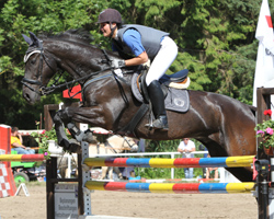 Maria Zilian gewann das M-Springen in Sehlen am Sonntag auf Gouliver und wurde am Samstag im M-Zeitspringen Zweite. Foto: Wego